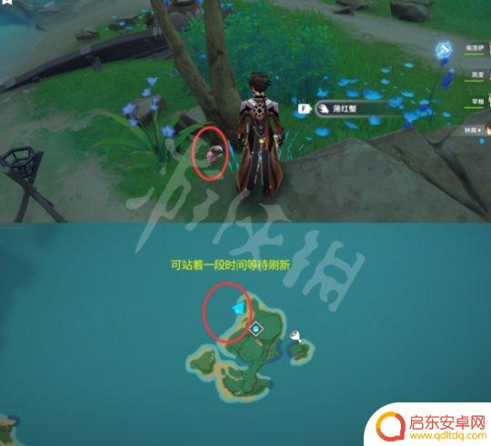 哪有螃蟹原神 《原神》所有螃蟹的捕捉位置一览