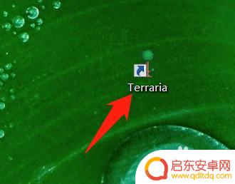 泰拉瑞亚怎么变中文 泰拉瑞亚中文设置方法