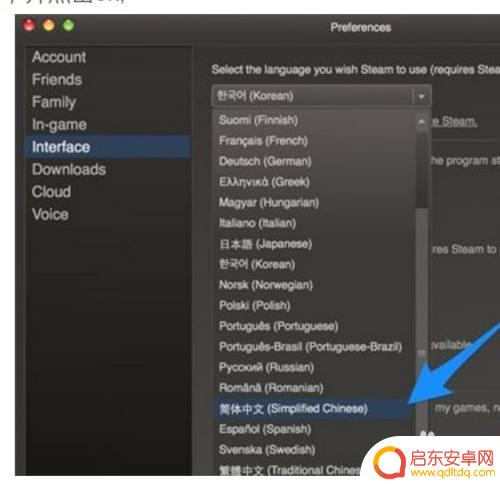 Steam怎么看是不是中文?简单教程帮你轻松判断!