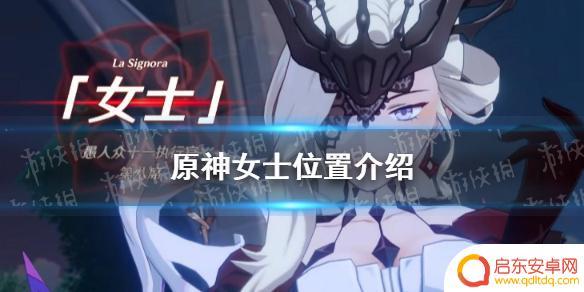 原神 女王 《原神手游》女士在哪里可以找到女士位置介绍