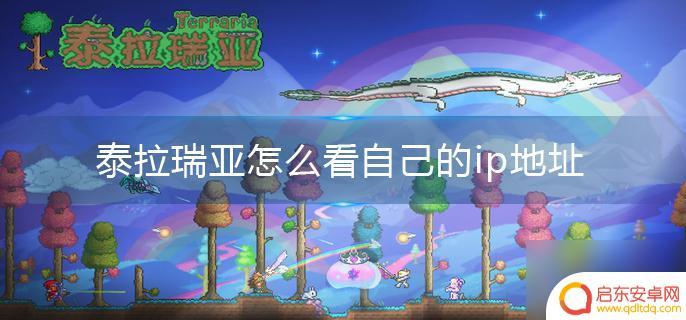 泰拉瑞亚怎么看自己的ip地址端口 泰拉瑞亚如何查看自己的IP地址