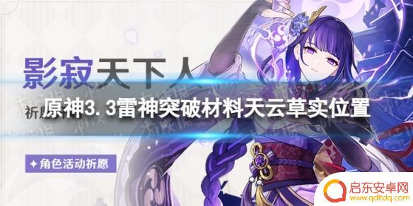 原神雷神突破材料天云草实在哪里 《原神》3.3雷神突破材料天云草实位置攻略