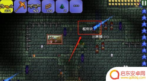 泰拉瑞亚怎么得到松树块 泰拉瑞亚怎么获取松树块