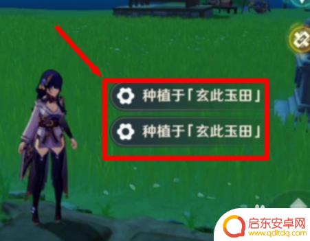 原神壶里怎么种东西 原神壶中洞天种植指南