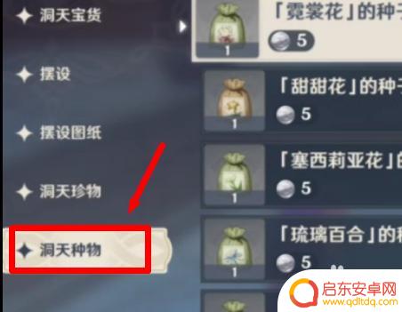 原神壶里怎么种东西 原神壶中洞天种植指南