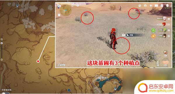 原神蔷薇任务后续 原神献给某人的蔷薇后续任务怎么完成