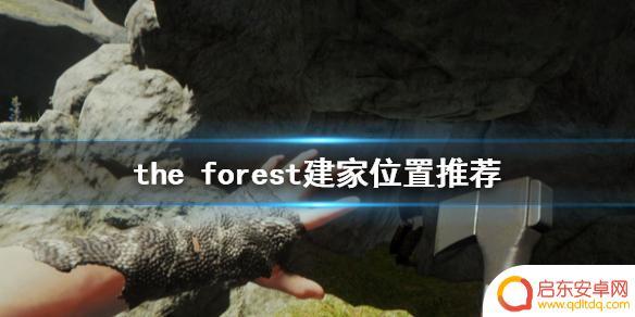 steam森林住宅 《森林》游戏建家推荐位置