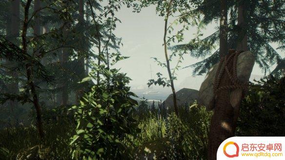 steam森林住宅 《森林》游戏建家推荐位置