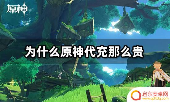 原神充值为什么那么贵 便宜的原神代充渠道推荐