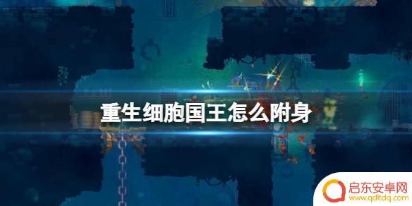 重生细胞怎么附身国王? 《重生细胞》国王附身方式