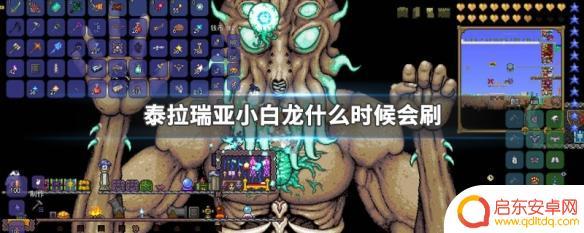 泰拉瑞亚怎么样打小白龙 泰拉瑞亚小白龙刷新机制