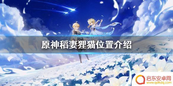 原神狸猫 原神稻妻狸猫位置攻略