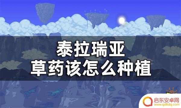 泰拉瑞亚收割草药 泰拉瑞亚草药种植指南