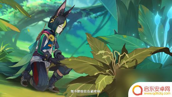 原神清除死域拯救无郁夷摩 原神正法炬书终章死域清除攻略