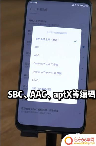 怎么看手机支持蓝牙协议 如何查看手机支持的蓝牙编码