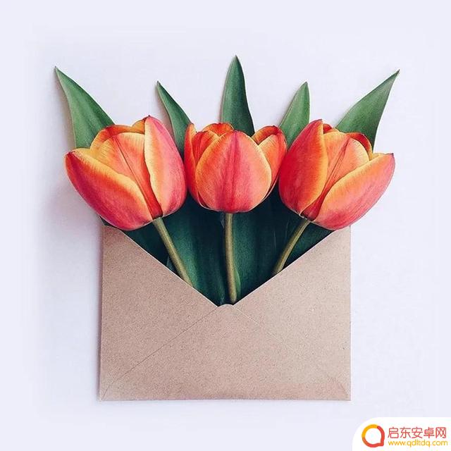 自制花束抖音文案(自制花束抖音文案怎么写)