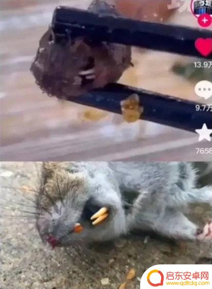 抖音指鹿为马事件(抖音指鹿为马事件是真的吗)