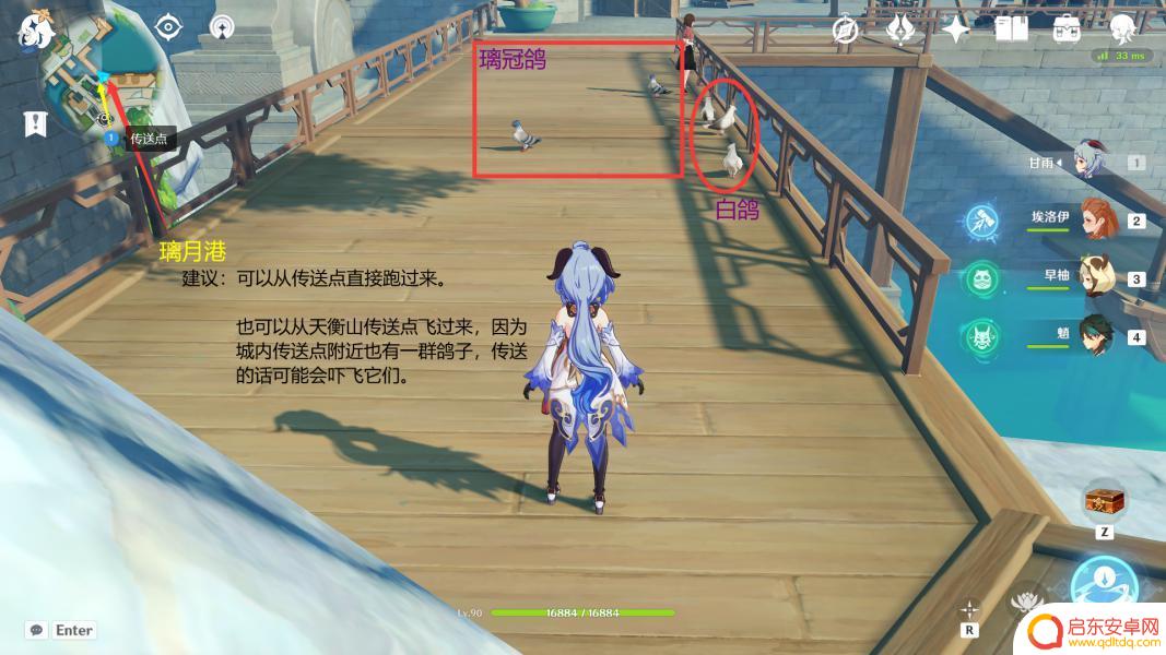 原神猪猪怎么捕捉 如何在原神四方之网捕捉小动物
