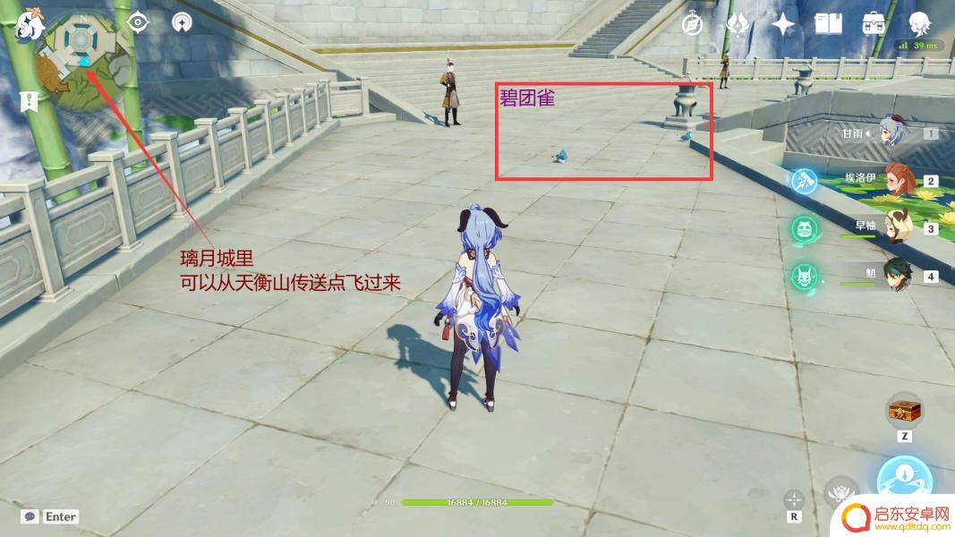 原神猪猪怎么捕捉 如何在原神四方之网捕捉小动物