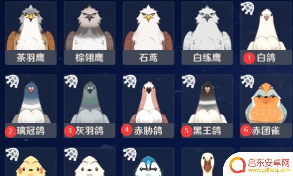原神猪猪怎么捕捉 如何在原神四方之网捕捉小动物