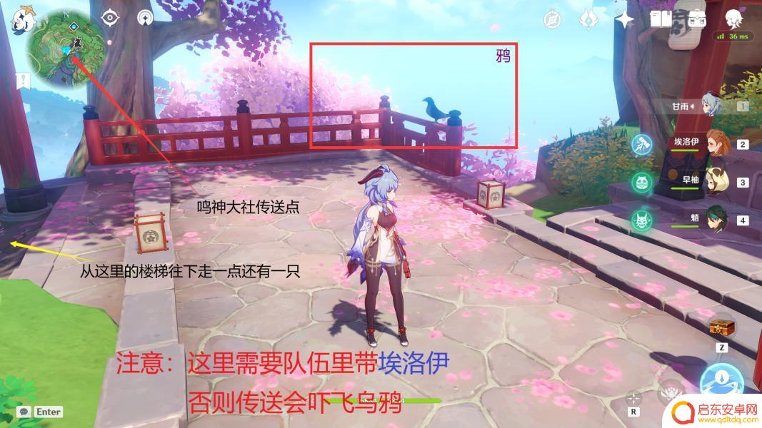 原神猪猪怎么捕捉 如何在原神四方之网捕捉小动物
