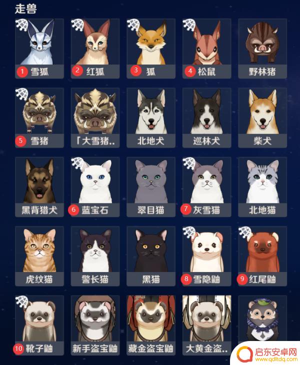 原神猪猪怎么捕捉 如何在原神四方之网捕捉小动物