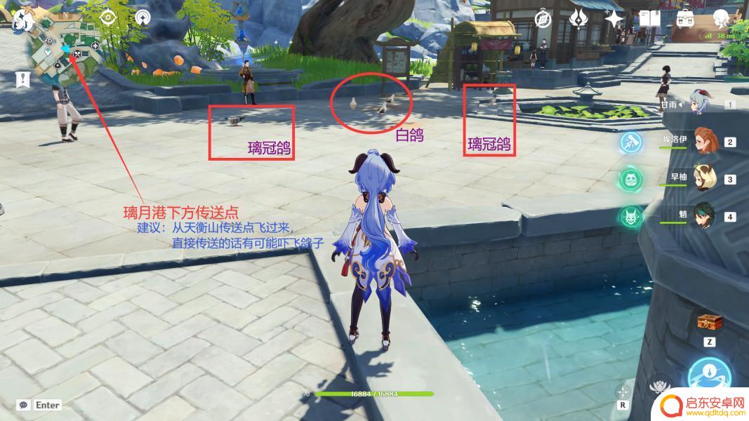 原神猪猪怎么捕捉 如何在原神四方之网捕捉小动物