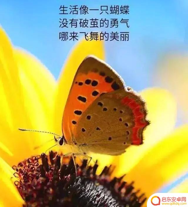 抖音文案励志评论(抖音文案励志评论短句)
