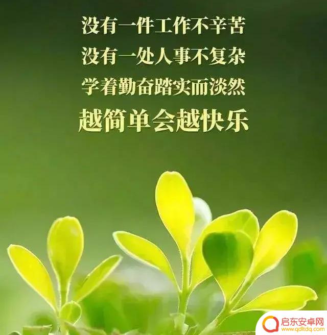 抖音文案励志评论(抖音文案励志评论短句)