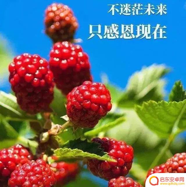 抖音文案励志评论(抖音文案励志评论短句)
