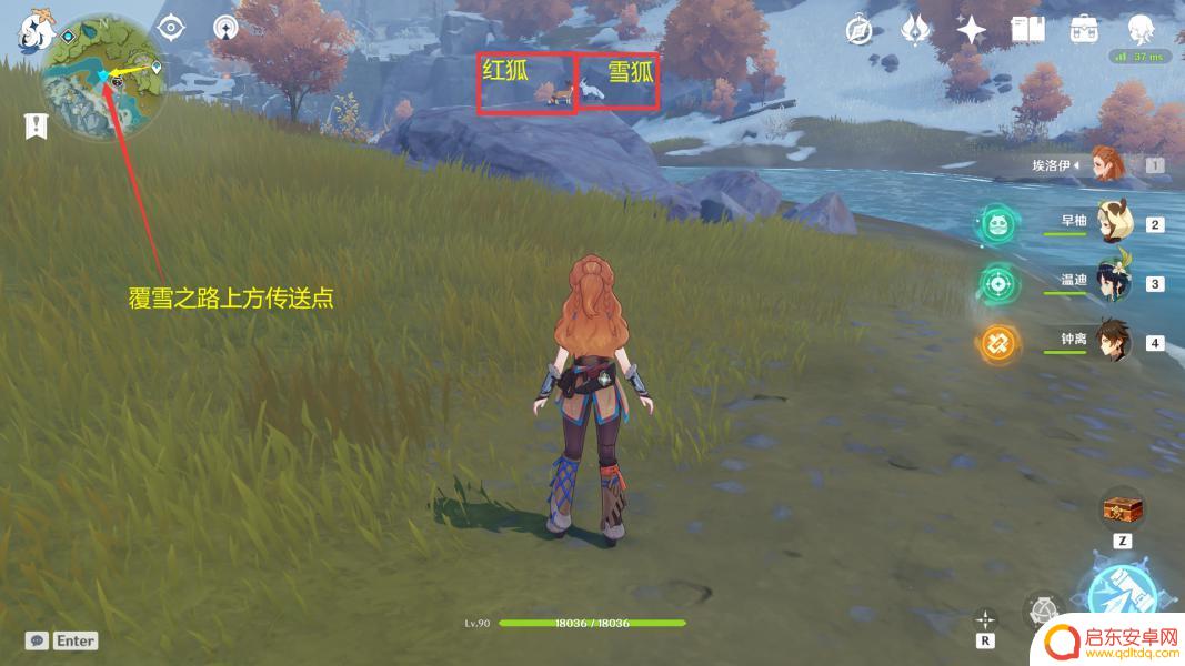 原神猪猪怎么捕捉 如何在原神四方之网捕捉小动物