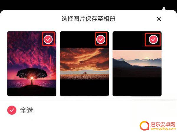 抖音图集保存网站(抖音图集保存网站在哪里)