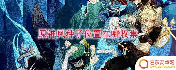 原神怎么储存风种子 原神风种子在哪里能够找到