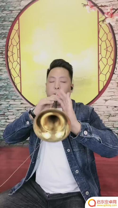抖音唢呐悲曲故乡(抖音唢呐悲曲故乡是谁唱的)