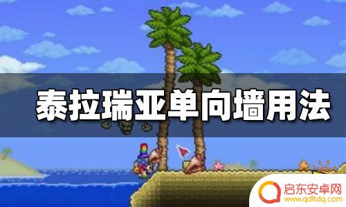 泰拉瑞亚单向墙做不了 泰拉瑞亚单向墙怎么建造