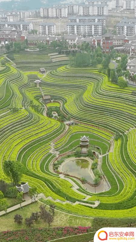 抖音青岛美景图片(青岛抖音最近比较火的景点)