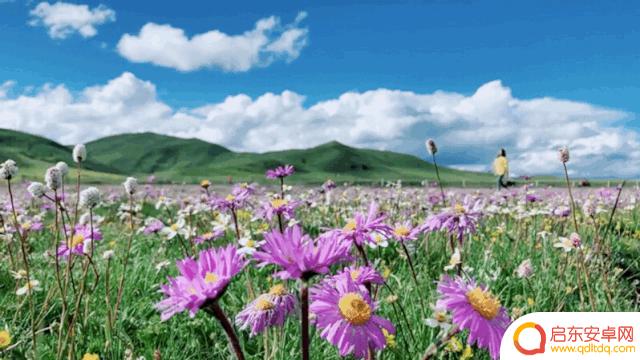 抖音青岛美景图片(青岛抖音最近比较火的景点)