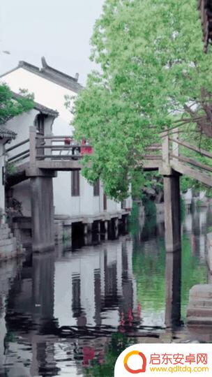 抖音青岛美景图片(青岛抖音最近比较火的景点)