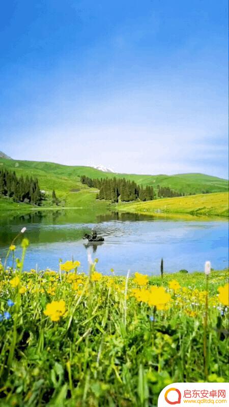 抖音青岛美景图片(青岛抖音最近比较火的景点)