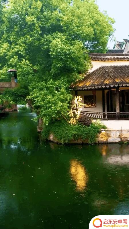 抖音青岛美景图片(青岛抖音最近比较火的景点)