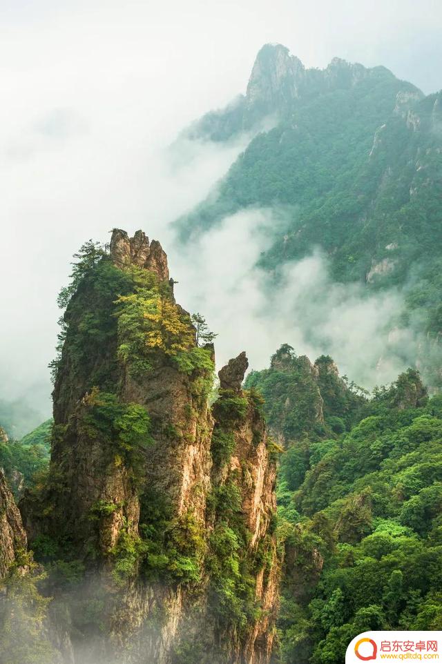 抖音青岛美景图片(青岛抖音最近比较火的景点)