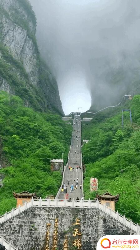 抖音青岛美景图片(青岛抖音最近比较火的景点)