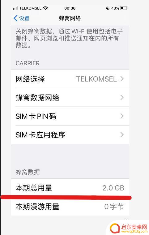 苹果手机用量怎么查询 苹果手机如何查看数据流量使用情况