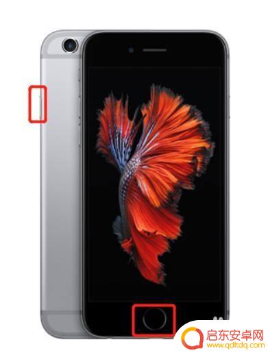 iphone怎样强制关机 苹果手机如何强制关机屏幕动不了怎么办