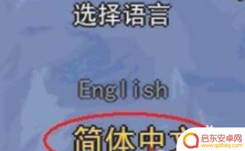 泰拉瑞亚怎么调成汉化 如何在泰拉瑞亚中文版中设置语言