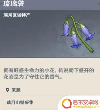原神琉璃袋是什么花 《原神》琉璃袋怎么得