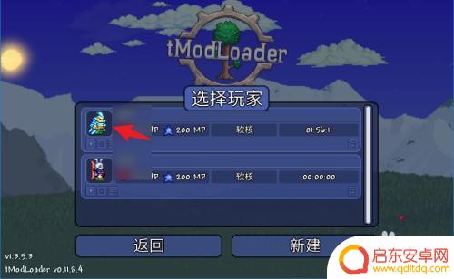 泰拉瑞亚怎么去别人世界 泰拉瑞亚好友房间进不去怎么办