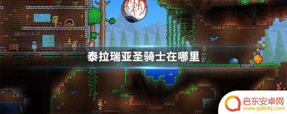泰拉瑞亚腐化圣骑士在哪里 泰拉瑞亚圣骑士怎么获得