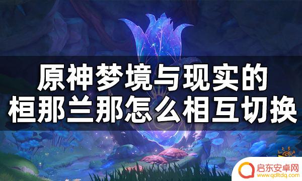 原神梦梦奈是什么 原神恒那兰那梦境现实切换方法