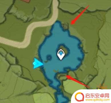 青蛙在那里找原神 原神青蛙分布一览图